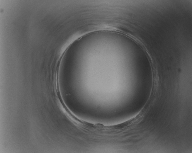 X0000053071391200507181615