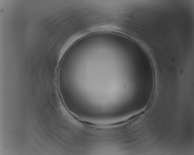 X0000053071392200507181615