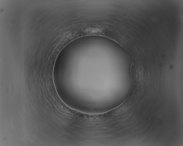 X0000053071393200507181614