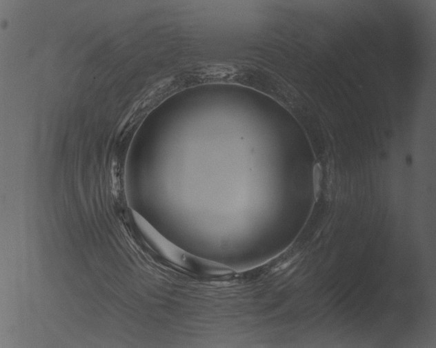 X0000053071394200507181614