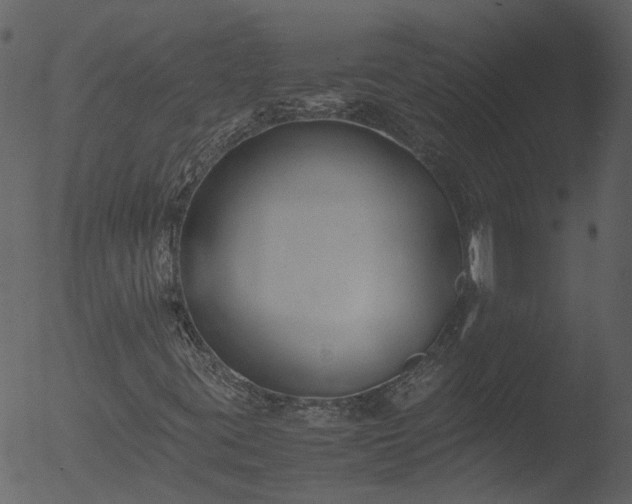 X0000053071395200507181614