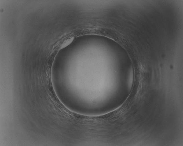 X0000053071397200507181614