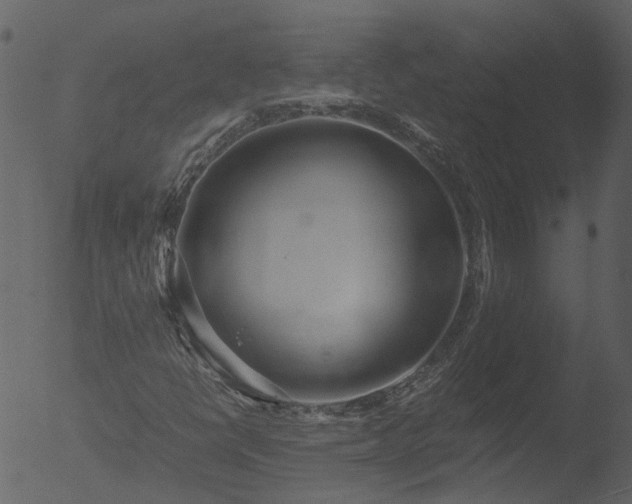 X0000053071398200507181614