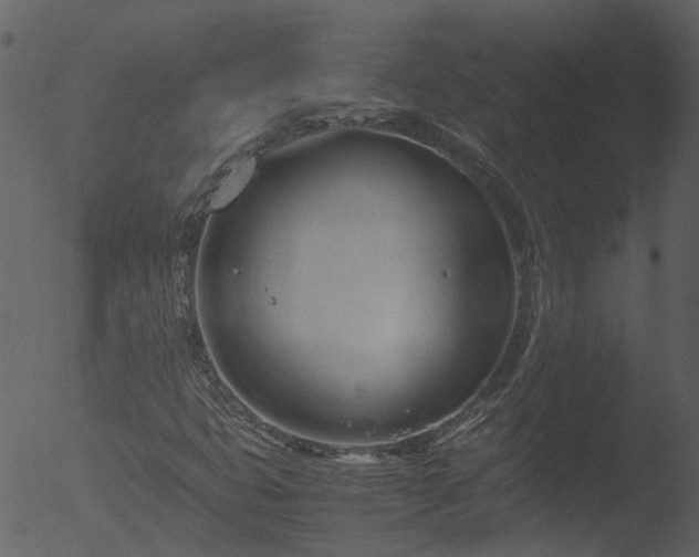 X0000053071399200507181614