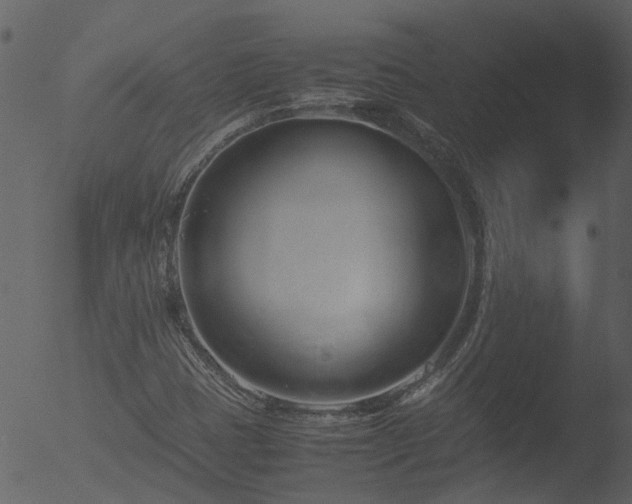 X0000053071401200507181614