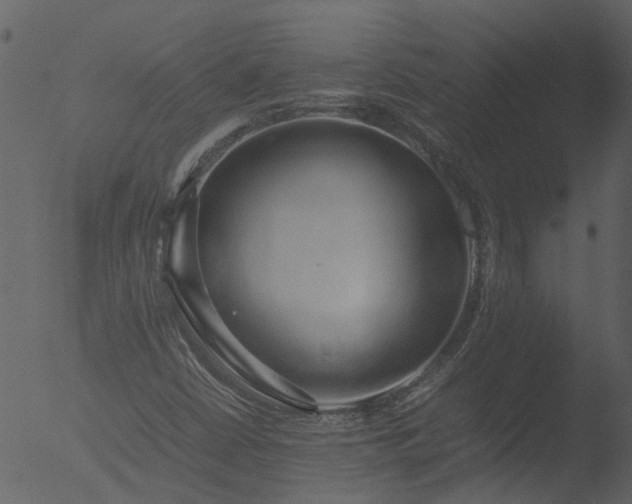 X0000053071402200507181614