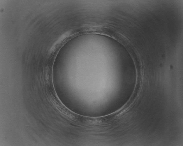 X0000053071403200507181614