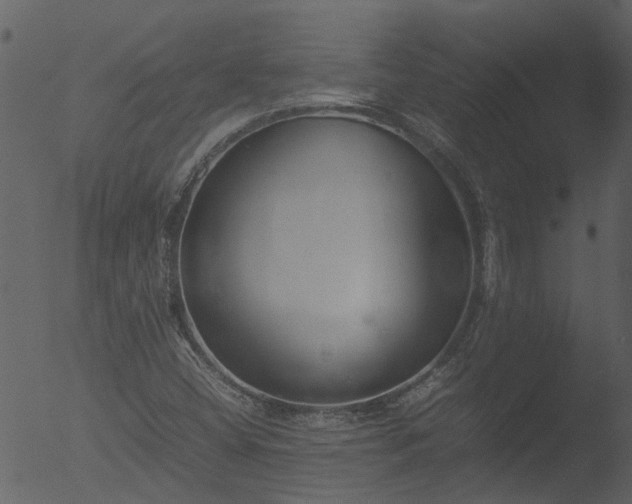 X0000053071404200507181614