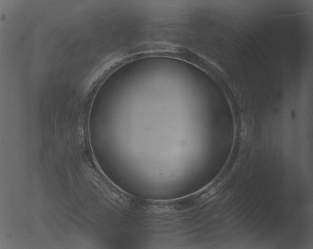 X0000053071407200507181614