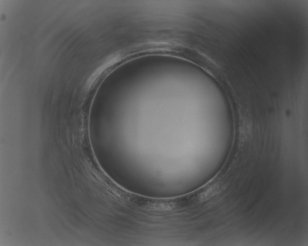 X0000053071411200507181614