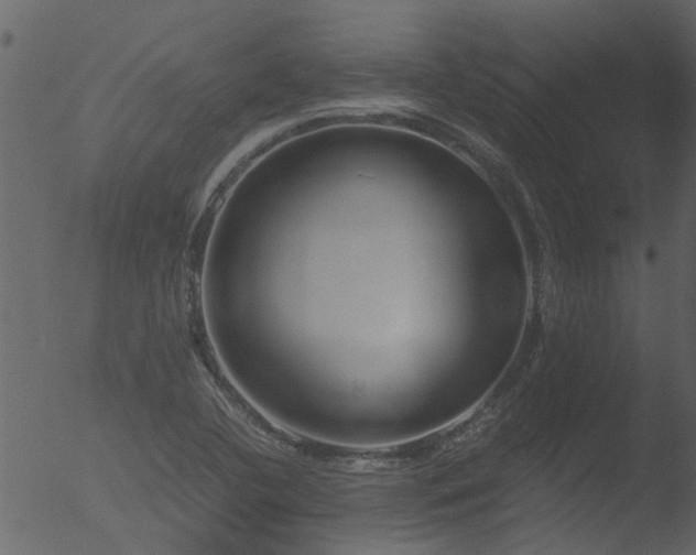 X0000053071412200507181614