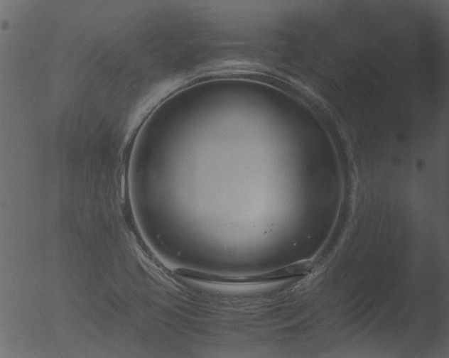 X0000053071413200507181614