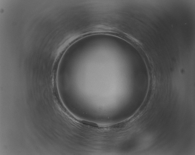 X0000053071415200507181614