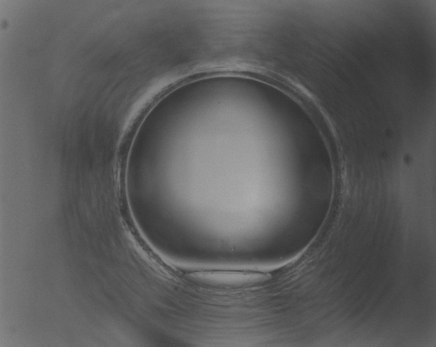 X0000053071416200507181614