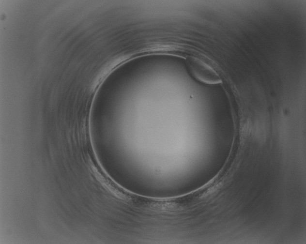 X0000053071417200507181614