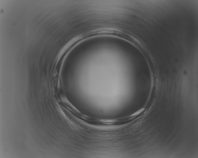 X0000053071418200507181614