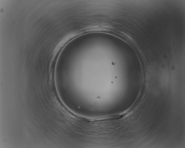 X0000053071419200507181614