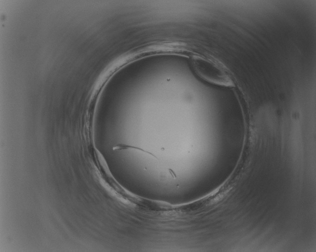 X0000053071421200507181614