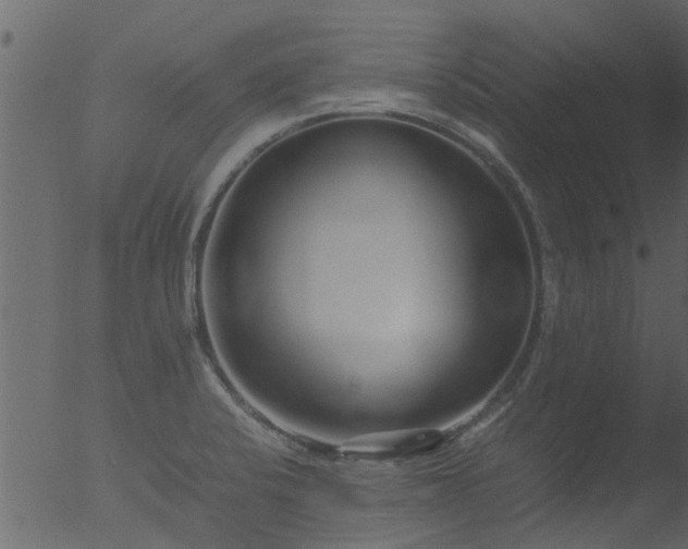 X0000053071424200507181614