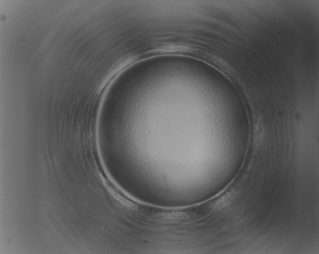 X0000053071425200507181614