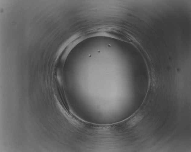 X0000053071426200507181614