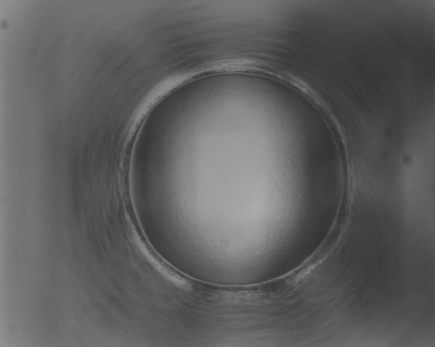 X0000053071429200507181614