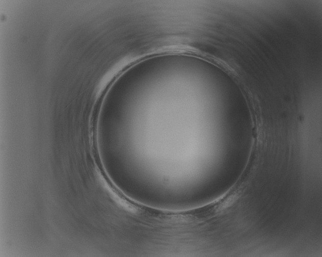 X0000053071430200507181614