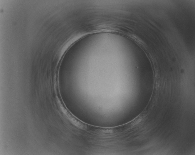 X0000053071431200507181614