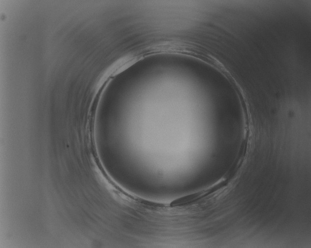 X0000053071434200507181614