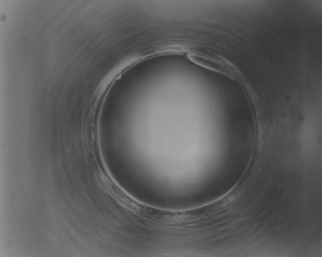 X0000053071435200507181614