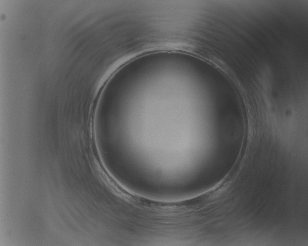 X0000053071436200507181614