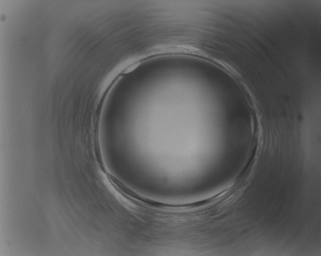 X0000053071438200507181614