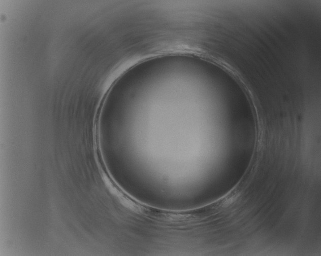 X0000053071439200507181615