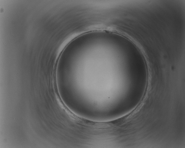 X0000053071440200507181615