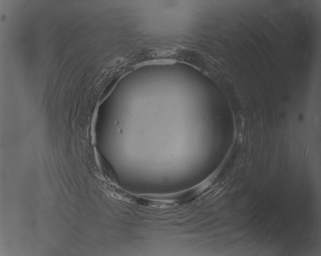 X0000053071441200507181614