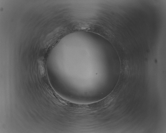 X0000053071442200507181614