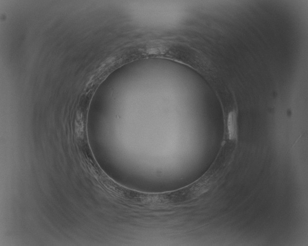 X0000053071443200507181614