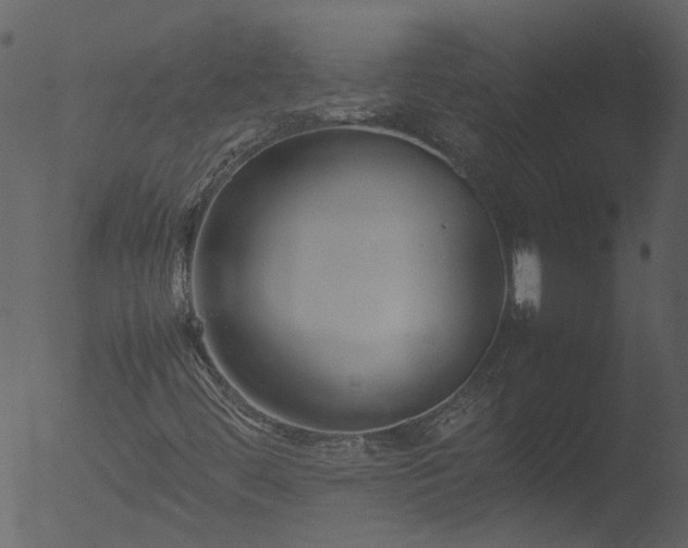 X0000053071444200507181614