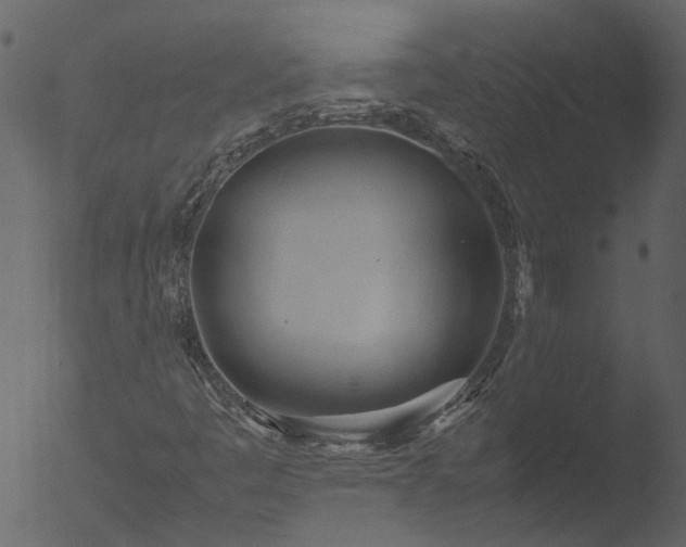 X0000053071445200507181614