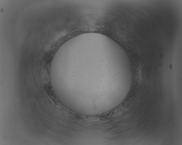 X0000053071446200507181614