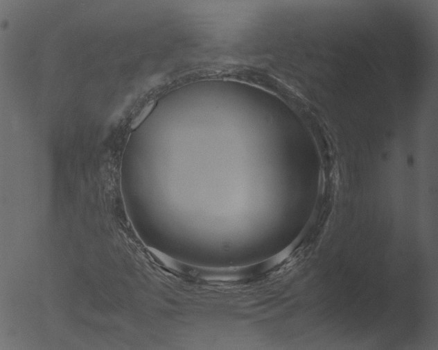 X0000053071447200507181614