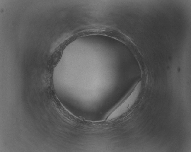 X0000053071448200507181614