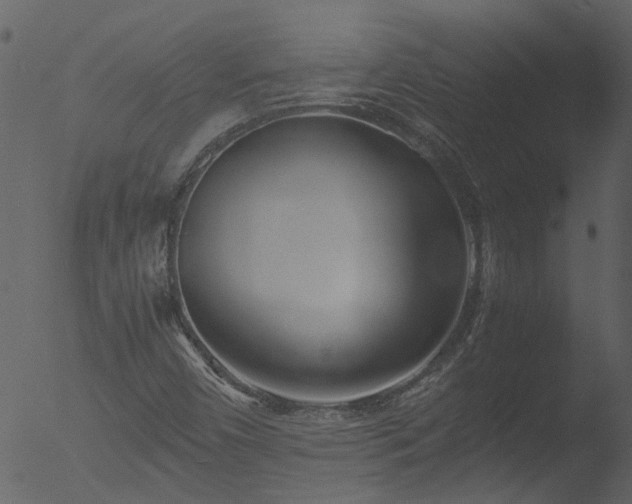 X0000053071450200507181614