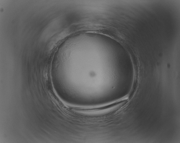 X0000053071451200507181614