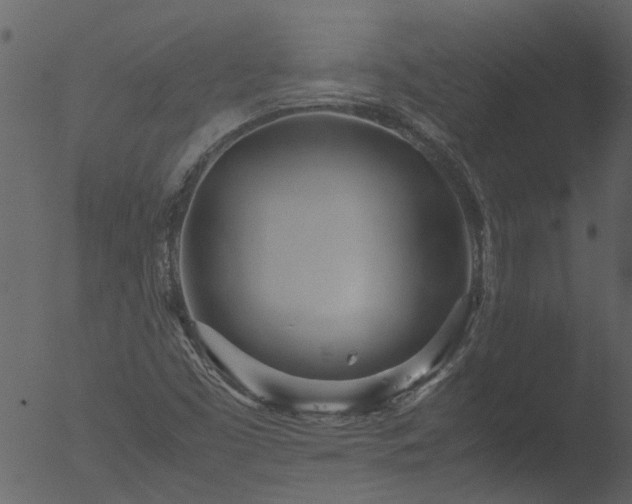 X0000053071453200507181614