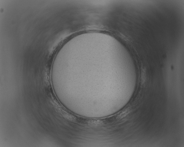 X0000053071454200507181613