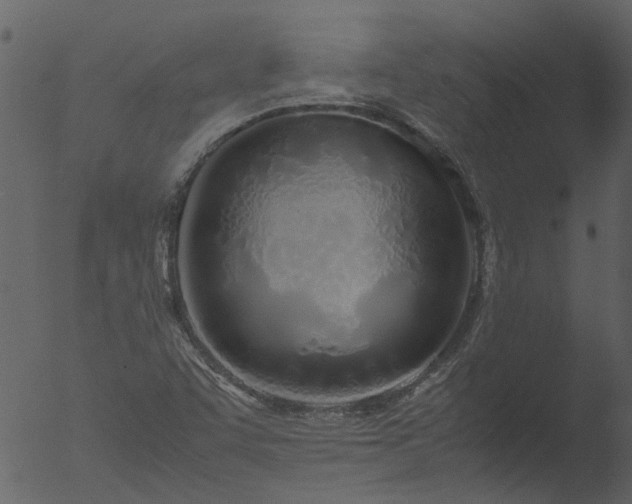 X0000053071455200507181613