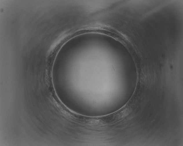 X0000053071456200507181613