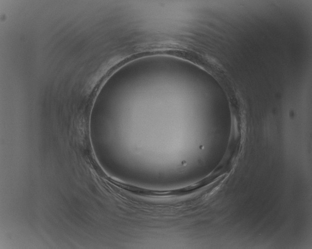 X0000053071457200507181613