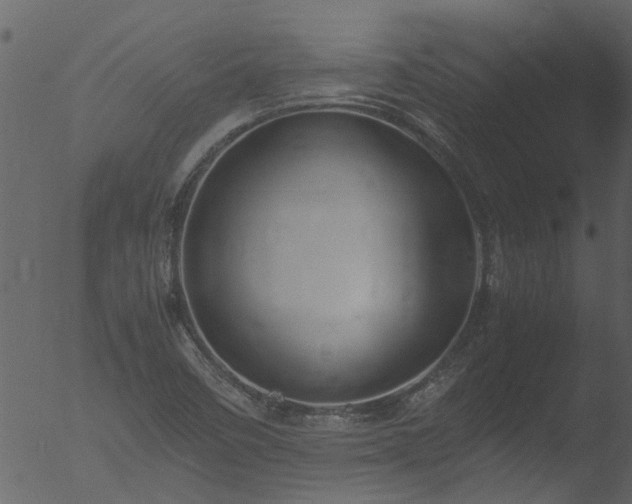 X0000053071458200507181613